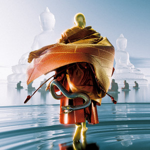 免费无广告黄视频
