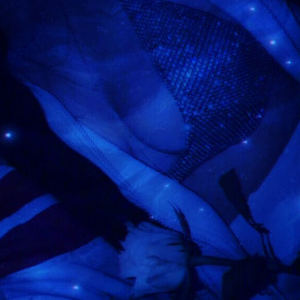 免费无广告黄视频
